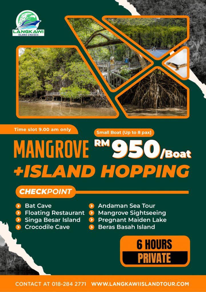 Mangrove + Island Hopping