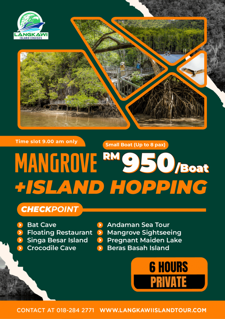 Mangrove + Island Hopping