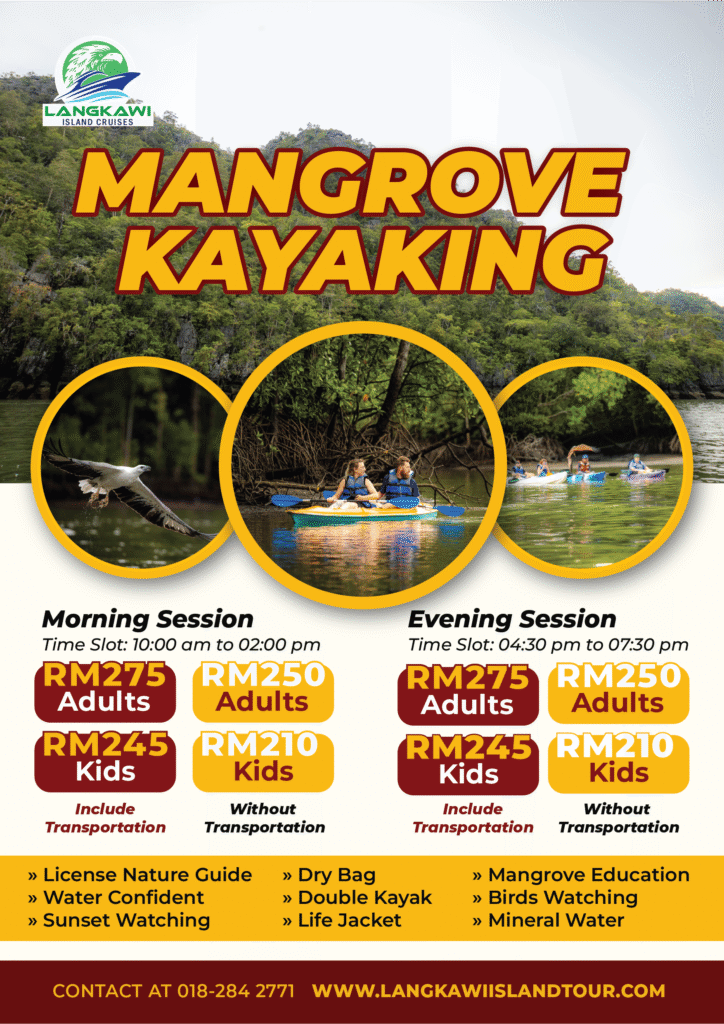 Mangrove Kayaking