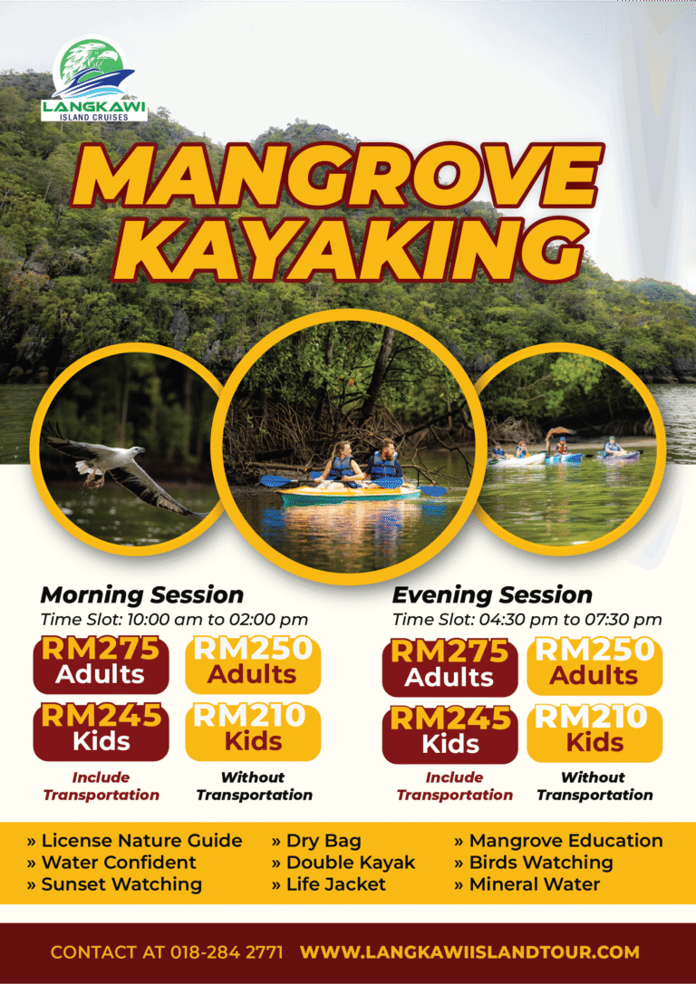 Mangrove Kayaking