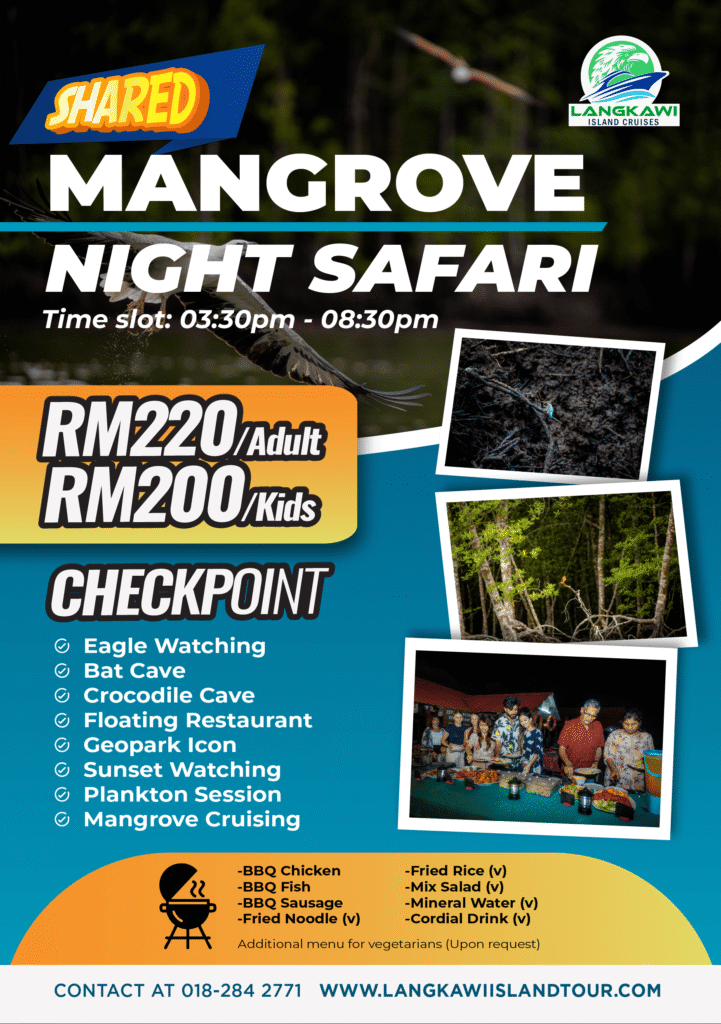 Mangrove Night Safari