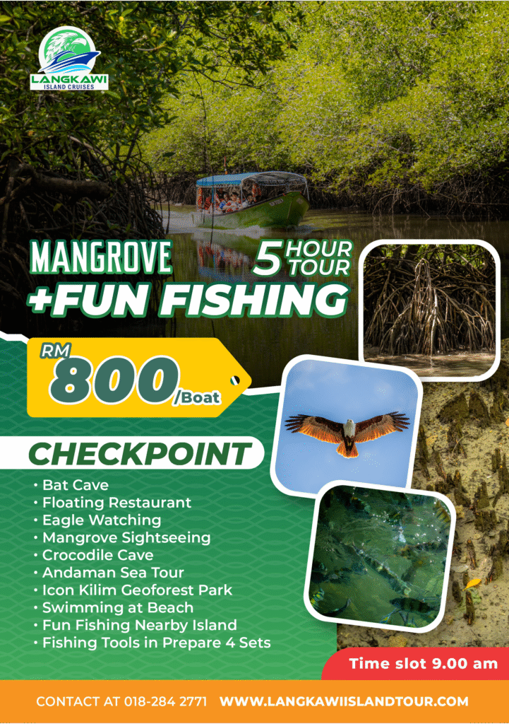 Mangrove + Fun Fishing