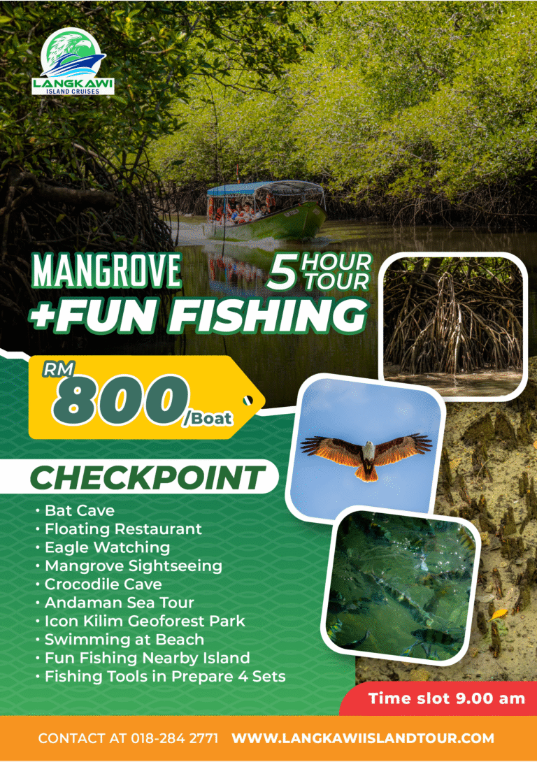 Mangrove + Fun Fishing