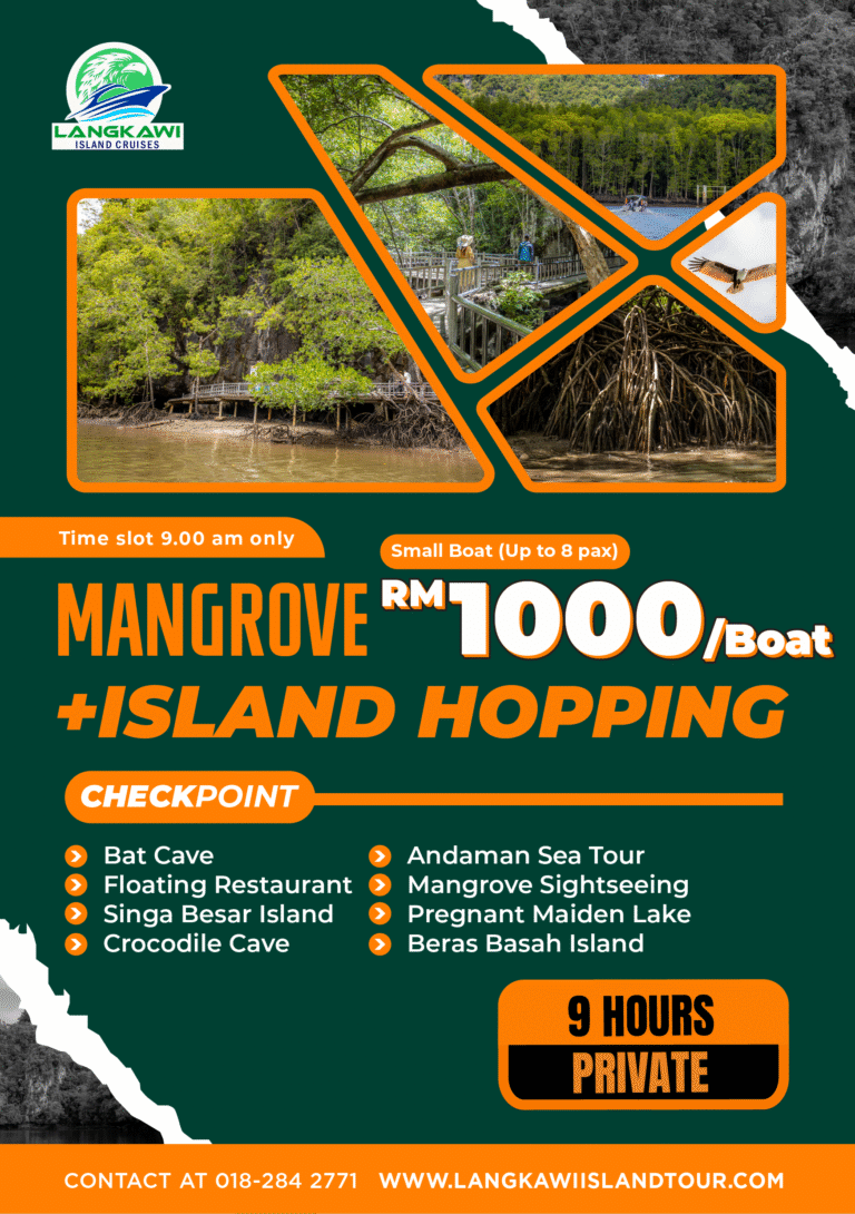 Mangrove + Island Hopping