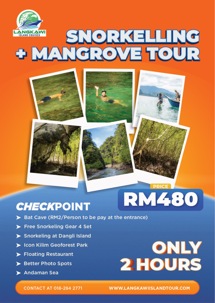 Snorkelling + Mangrove