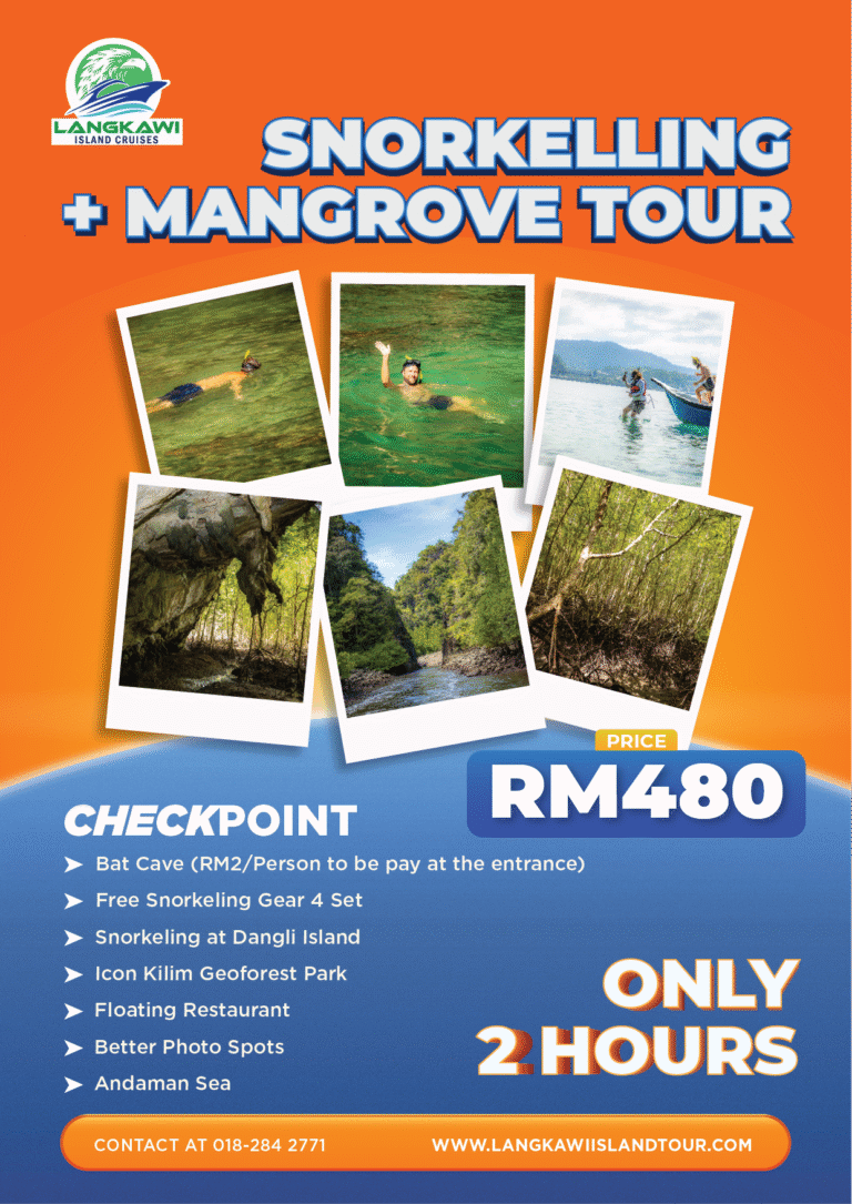 Snorkelling + Mangrove